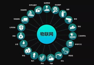 數(shù)字與數(shù)據(jù)經(jīng)濟(jì)兩翼齊飛，助推物聯(lián)江西建設(shè)中的軟件開(kāi)發(fā)
